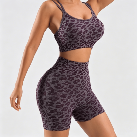 Women's Leopard Print Workout Sets 2 Piece Outfits Crop Tank Tops and Shorts Sports Yoga Gym Tracksuit (Color: Wine Red, size: XL)